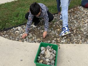 5th Grade cleaning out the rock garden